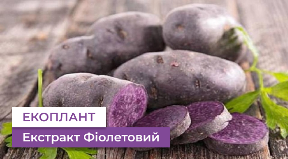 КФФ ГРУПП Натуральний барвник екстракт фіолетової картоплі ЕКОПЛАНТ.